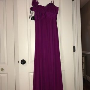 Chiffon rose dress, new with tags